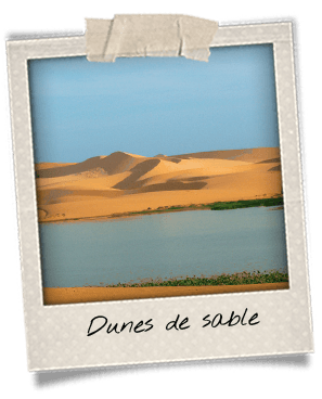 dunes-de-sable-mui-ne-activite