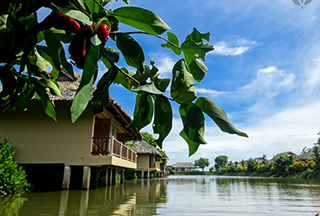 Mekong Riverside bungalows along river