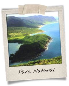 parc-national-con-dao