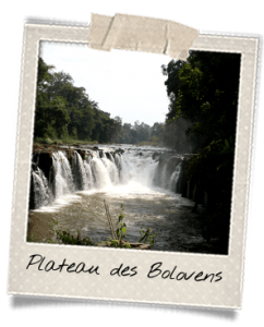plateau-des-bolovens-laos