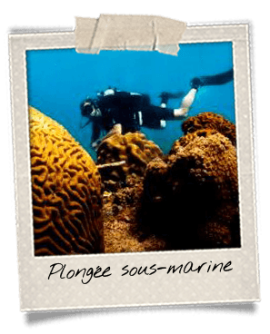 plongee-sous-marine