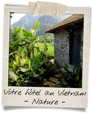 hotel-de-charme-vietnam-nature