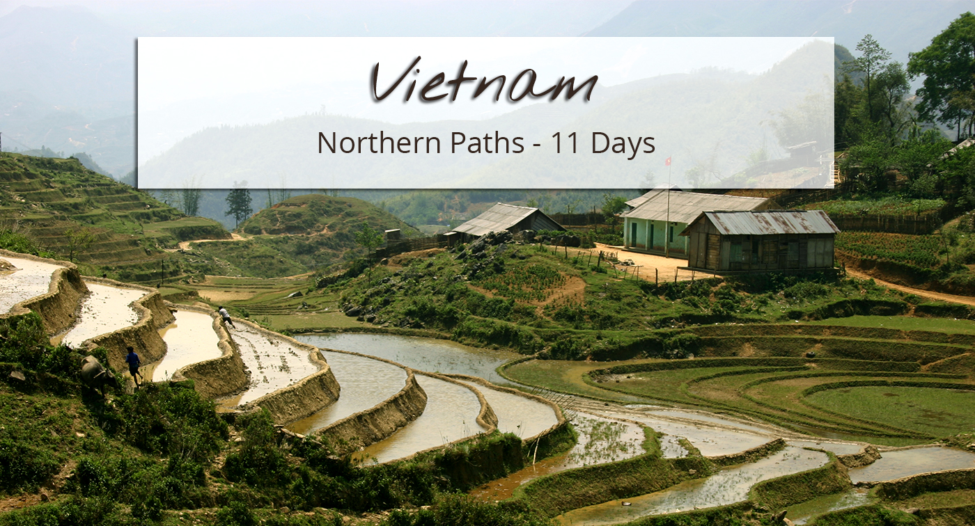 Hike in the rice fields of northern Vietnam